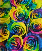 Dozen Rainbow Roses Floral Arrangement