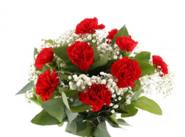 Dozen Red Carnations Vase