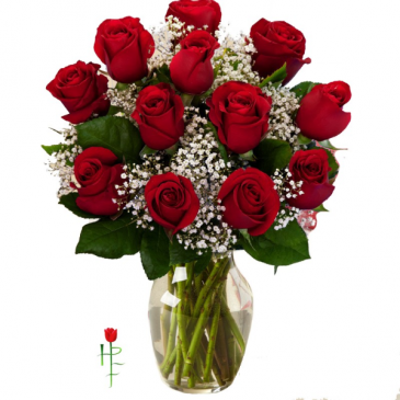 DOZEN RED ROSES