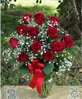 Dozen red roses 