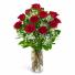 Dozen Red Roses and a Million Stars Arrangement