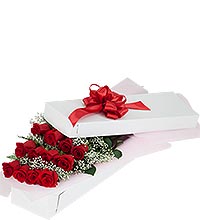 Dozen Red Roses Boxed