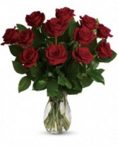 Dozen Red Roses Home