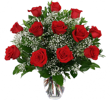 Dozen Red Roses Arrangement in Winnipeg, MB | CHARLESWOOD FLORISTS Dozen Red Roses Arrangement in Winnipeg, MB | CHARLESWOOD FLORISTS