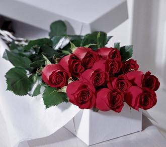 Dozen Red Roses in Box Red Roses