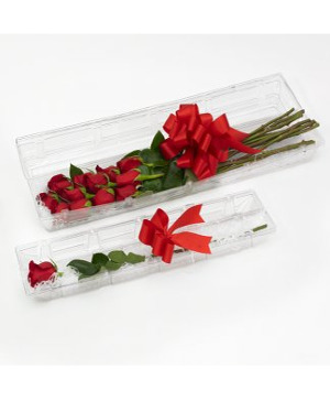 Dozen Red Roses in Clear Box & Bow Valentines Day