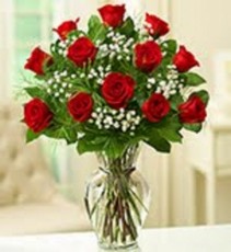 Dozen Red Roses Rose Arrangement