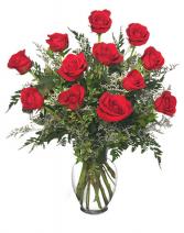 Dozen Red Roses with Chocolate  Valentine's Day Special