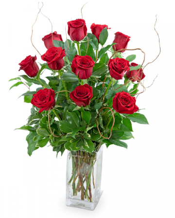 Dozen Red Roses with Willow Flower Arrangement