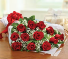 Dozen Red Roses Wrapped 