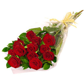 Dozen Roses Wrapped Bouqet