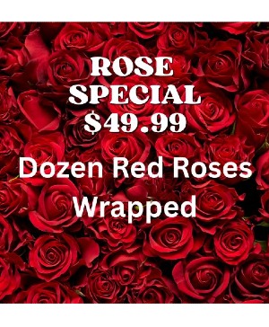 Dozen Red Roses Wrapped Special Deal