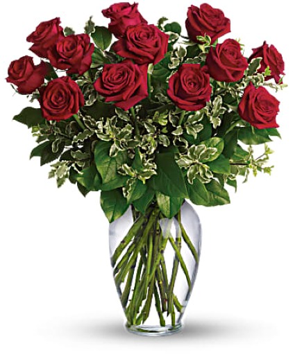 DOZEN RED VALENTINE ROSES VALENTINE'S DAY ARRANGEMENT