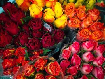 Dozen Rose Bouquet  in Orleans, ON | SELECT BLOOMS FLORAL BOUTIQUE