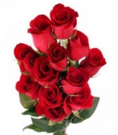Dozen Rose Cash and Carry Not Available for Delivery