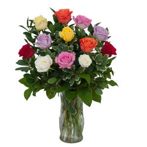 Dozen Multi Color Roses  Arrangement