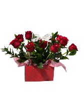 Dozen roses in a bag Bouquet