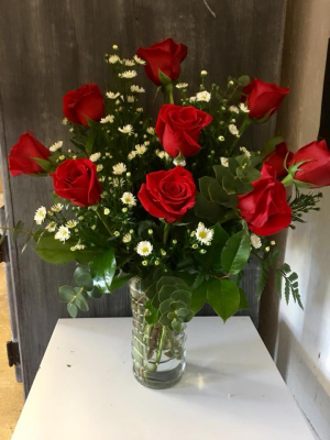 Dozen Long Stem Red Roses 