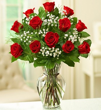 Dozen Red Roses Also Available in Pink, Hot Pink, Yellow, Orange,  White & Lavender in Saint Paul, MN | CENTURY FLORAL