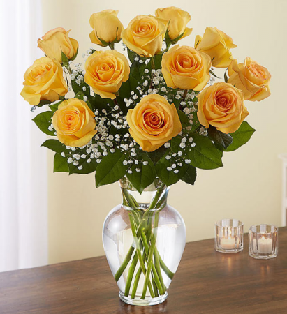 DOZEN ROSES YELLOW