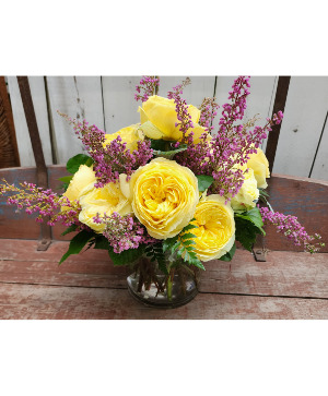 Dozen Showstopping Catalina Garden Rose Arrangment