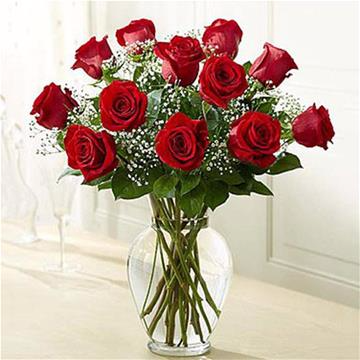 Dozen Standard Red Roses Arrangement in Lexington, NC | RAE'S NORTH POINT FLORIST INC.