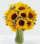 dozen Sunflower Bouquet vase arrangement