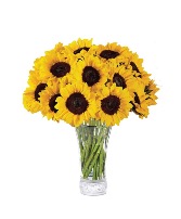 Dozen Sunflowers Floral arrangement 