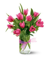 Dozen Tulips Bouquet