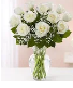 Dozen White Roses Rose