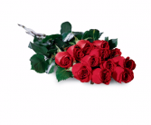 Dozen Wrapped Red Roses Rose's with no filler to lots... you choose 