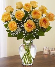 Dozen yellow roses  