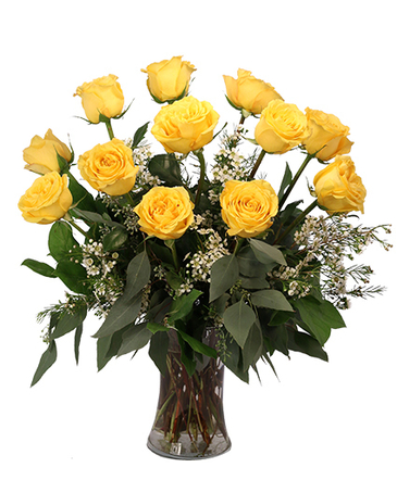 Dozen Yellow Roses Flower Arrangement in Sunrise, FL | FLORIST24HRS.COM