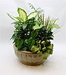 DP-682 Sympathy Arrangement in Naples, FL | DYNASTY FLOWER SHOP DP-682 Sympathy Arrangement in Naples, FL | DYNASTY FLOWER SHOP