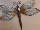 Dragonfly Seasonal