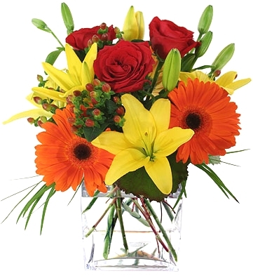 DRAMATIC & POPULAR ARRANGEMENT
