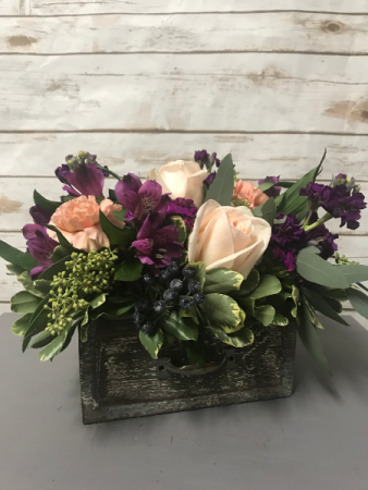 Drawer of Plenty Arrangement