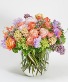 Dream Pre-Order For Mother's Day 