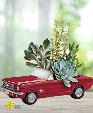 Dream Wheels '65 Ford Mustang  