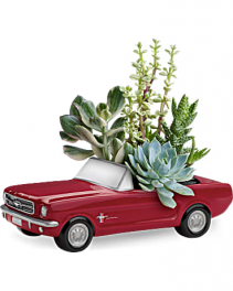 Dream Wheels '65 Ford Mustang by Teleflora arrangement