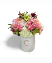 DreamBox All occasion