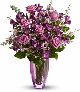 Dreaming of Roses H07R330A