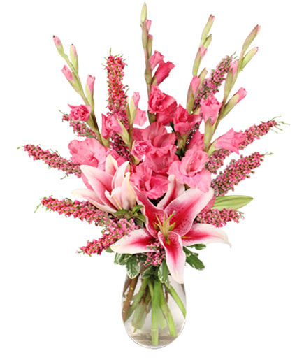 Cloud Pink / Florentiner Flower, It is a Dried Flower of Cornflower With a  Unique Shape Like a Flower. DYI Floral Arrangements. 