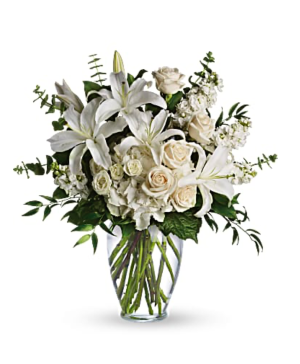 dreams from the heart  