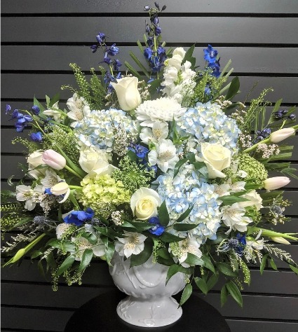 Dreams of Blue and White 