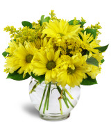 Dreamy daisies - 137 Vase arrangement 