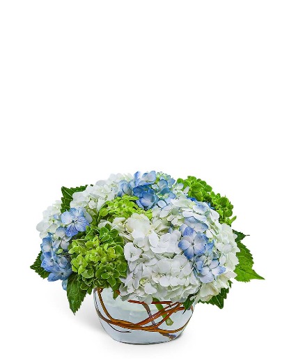 Dreamy Hydrangea Flower Arrangement