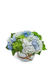 Dreamy Hydrangea Flower Arrangement