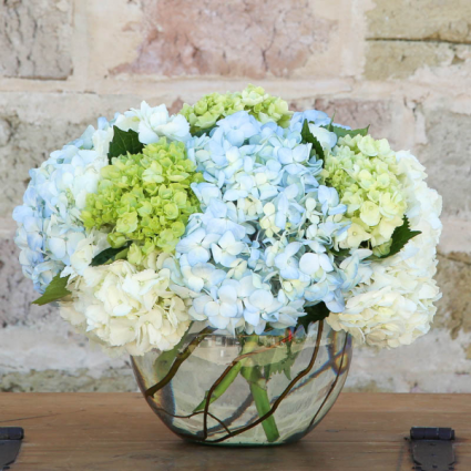 Dreamy Hydrangeas