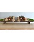 Dried Center Piece Arrangement Dried  Flowers